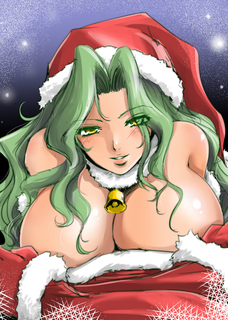 20161225xmas_grune.jpg